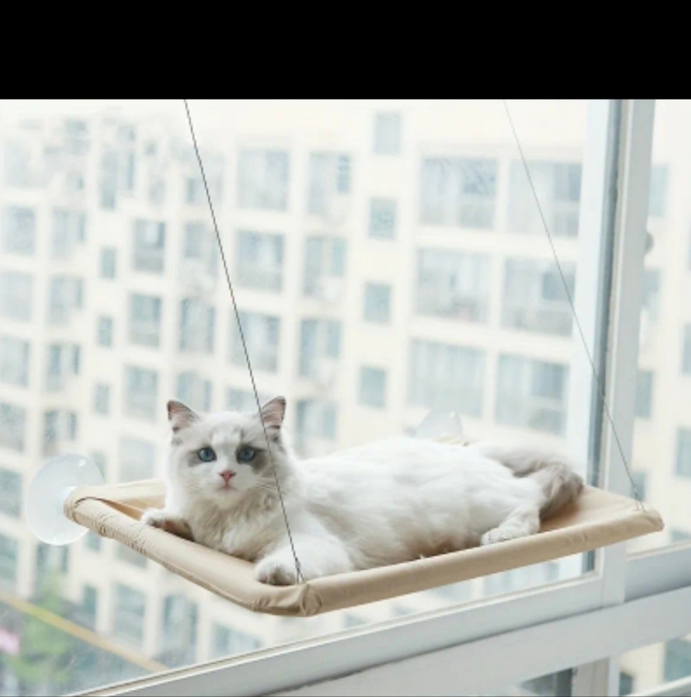 Beige Window Cat Hammock - Plush Perch for Cats
